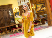 Velvet Embroidered V-Neck Dress