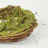 Twiggy Bird Nest w/ Moss