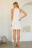 Coastal Eyelet Lace Mini Dress