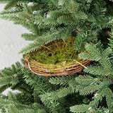 Twiggy Bird Nest w/ Moss