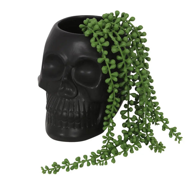 Skull Plant Pot