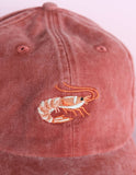 Embroidered Hat | Shrimp
