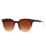 Literary Temperament Sunglasses
