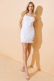 Gabrielle Lace Mini Dress