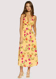 Summer Spritz Maxi Dress