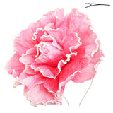 Flower Bloom Fascinator (Red, Black, Green, Lavender, Pink)