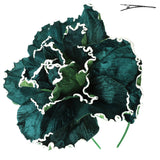 Flower Bloom Fascinator (Red, Black, Green, Lavender, Pink)