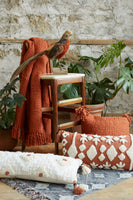 Terra Cotta Pillow Cover