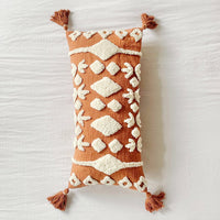 Terra Cotta Pillow Cover PVW088